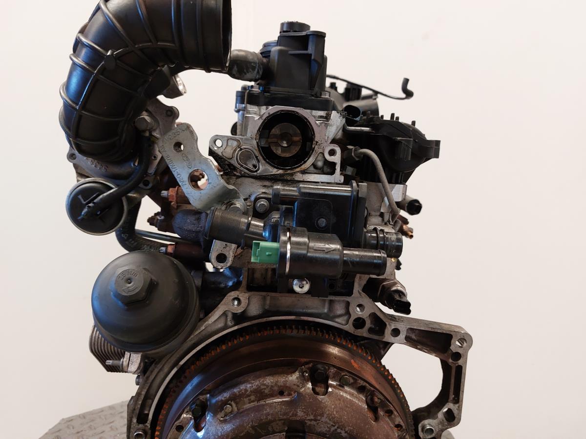 Motor completo FORD Fiesta VI (CB1, CCN) Imagem-15