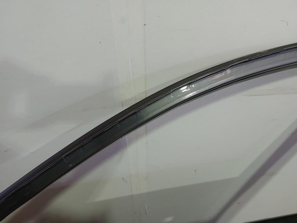Porta anteriore sinistra RENAULT Talisman (L2M_) Imagem-2