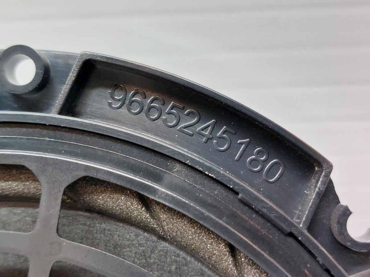 Coluna de som PEUGEOT RCZ Imagem-1