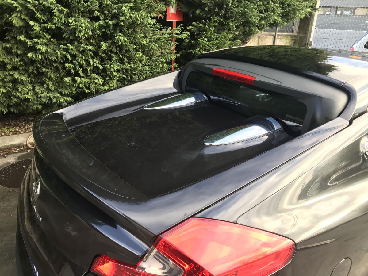 Porta / tampa da mala RENAULT Wind (E4M_)