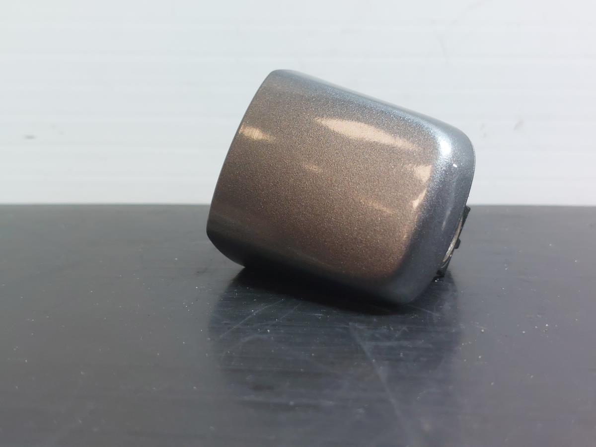 Left Door handle cover  NISSAN Qashqai II (J11)