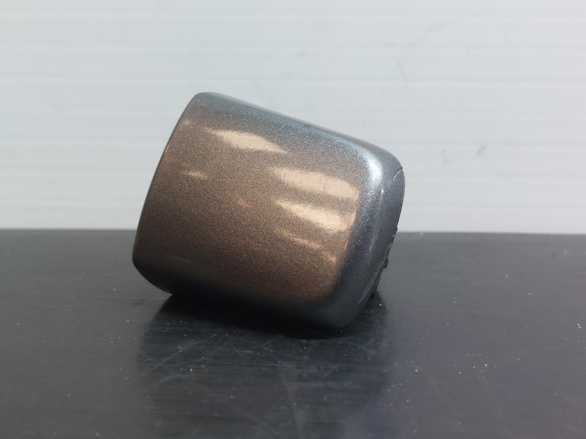Cache poignée de porte Gauche NISSAN Qashqai II (J11) Imagem-4