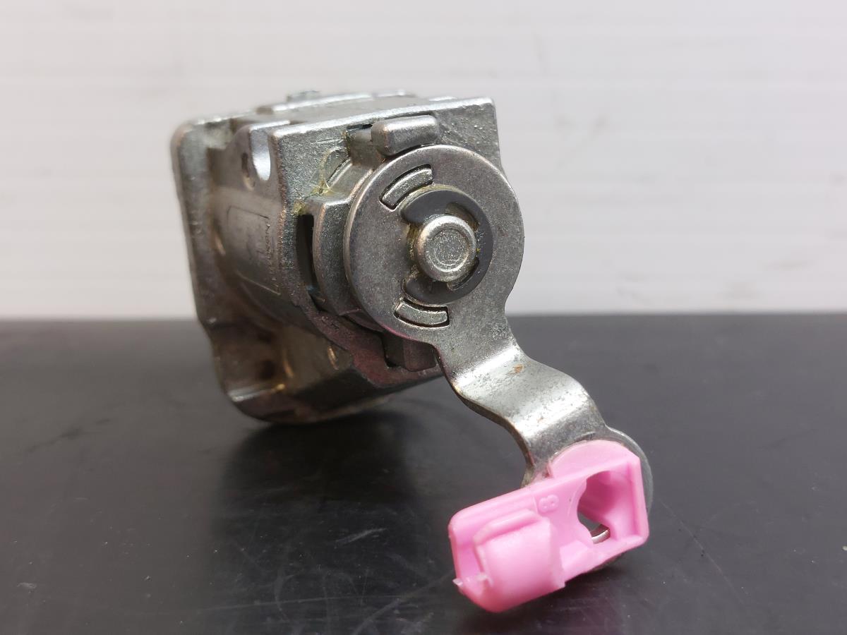 Canhão de porta NISSAN Qashqai II (J11) Imagem-3