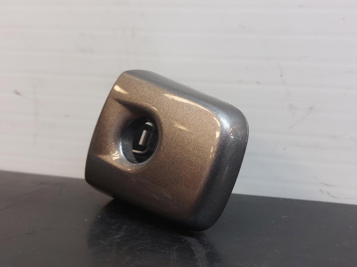 Left Door handle cover  NISSAN Qashqai II (J11) Imagem-1