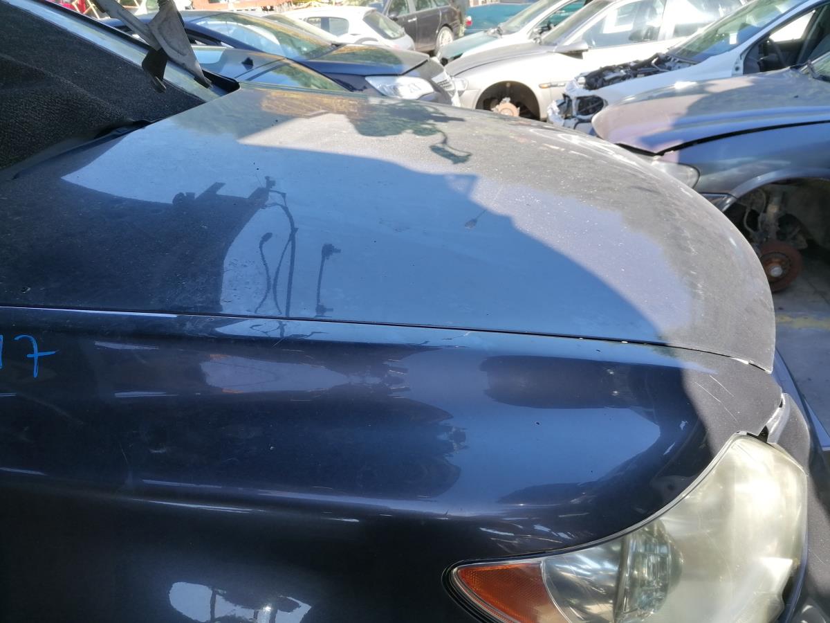 Capot LEXUS LS (_F4_) Imagem-1