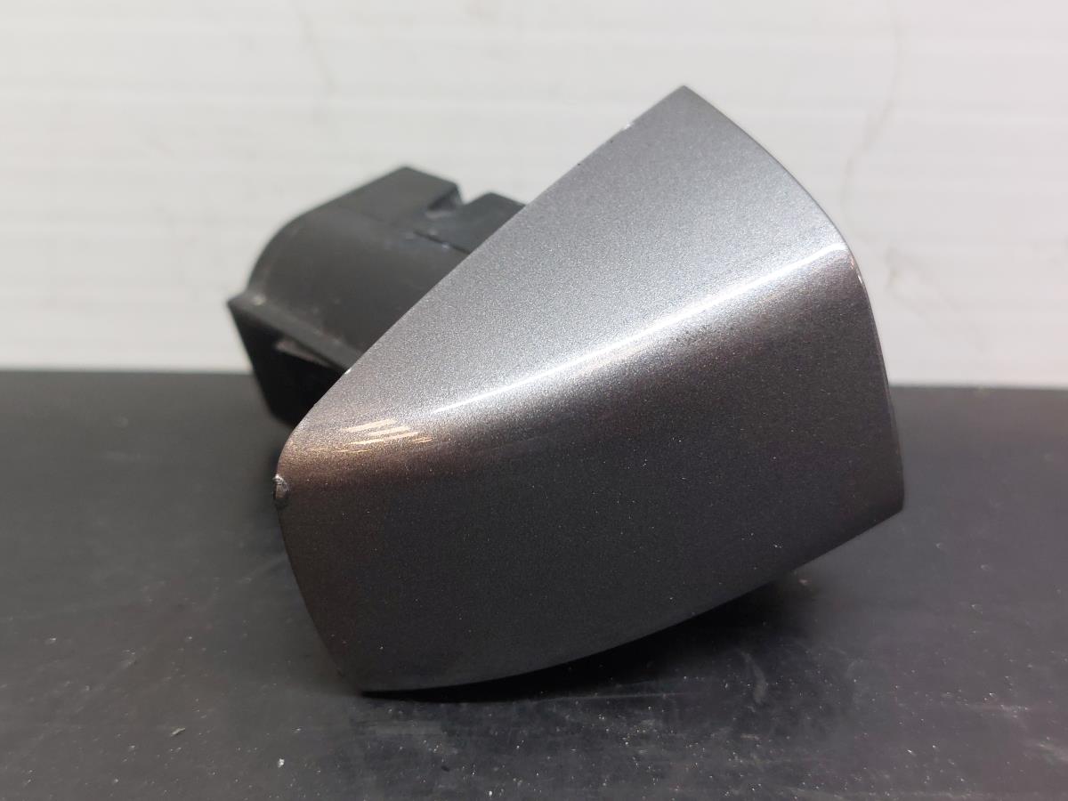 Cache poignée de porte Gauche RENAULT Talisman (L2M_)