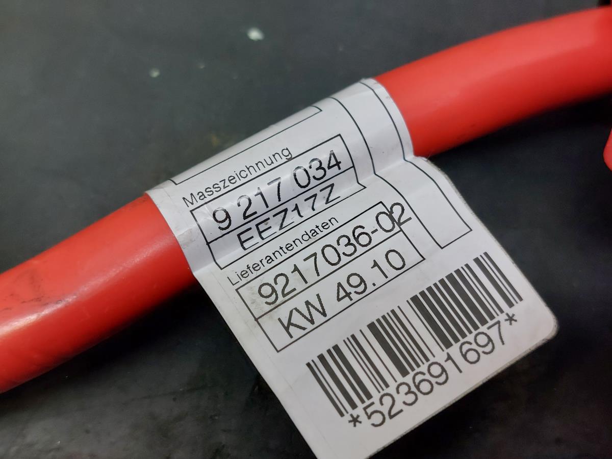 Cavo positivo batteria BMW 6 Cabriolet (F12) Imagem-8