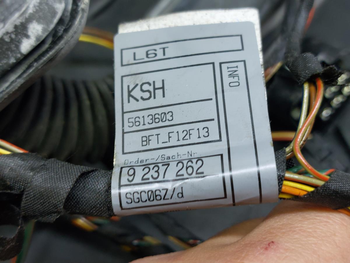 Installation électrique intérieure / câblage intérieur BMW 6 Cabriolet (F12) Imagem-12