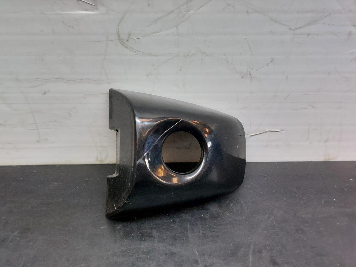 Cubierta manija puerta Izquierda  RENAULT Scénic IV (J9_)