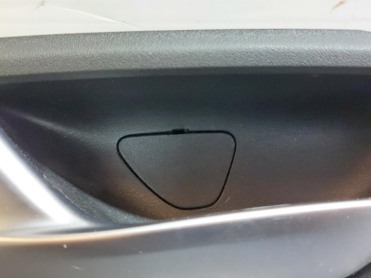 Maniglia interna porta anteriore sinistra RENAULT Scénic IV (J9_) Imagem-2