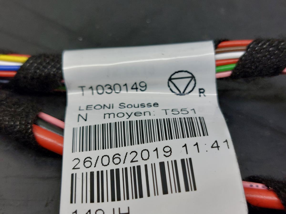 Interior wiring RENAULT Scénic IV (J9_) Imagem-10