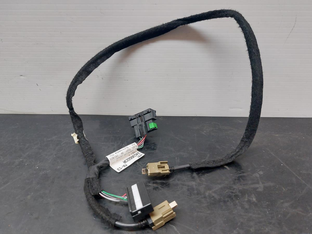 Interior wiring RENAULT Scénic IV (J9_)