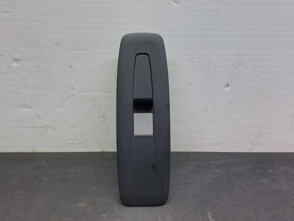 Moldura puerta delantera derecha RENAULT Scénic IV (J9_)