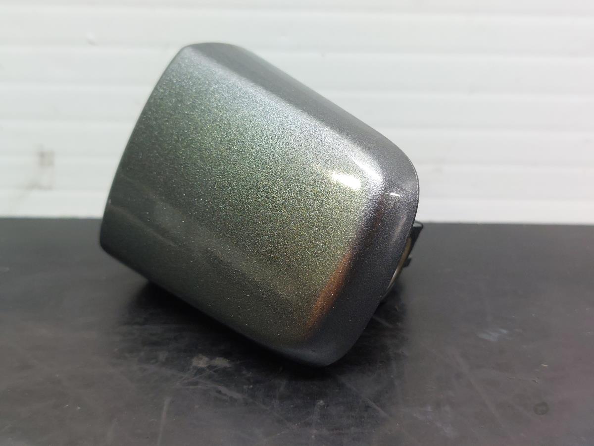 Capa do puxador da porta esquerda NISSAN Qashqai II (J11)