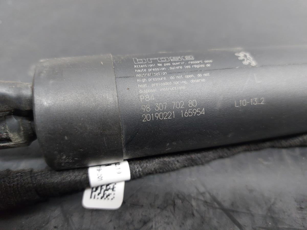 Trunk Shock Absorber PEUGEOT 3008 II (M_) Imagem-1