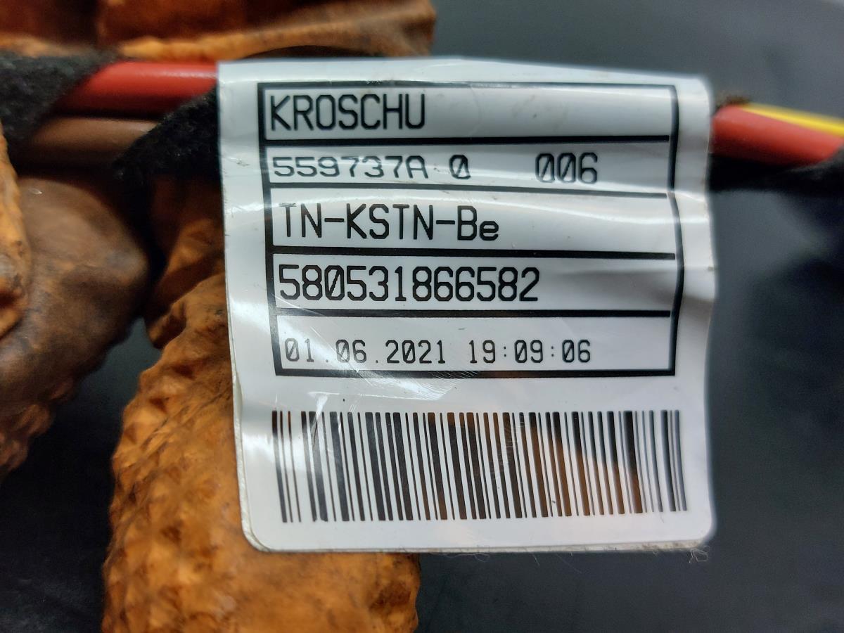 Installation électrique intérieure / câblage intérieur BMW 1 (F40) Imagem-4