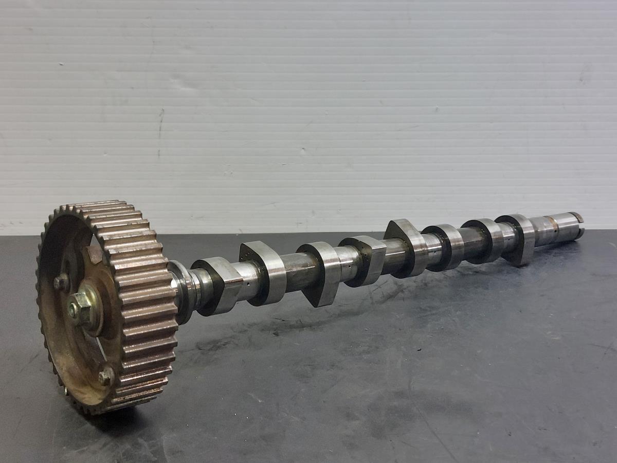 Camshaft / Eccentric Shaft RENAULT Kangoo (KC0/1_)