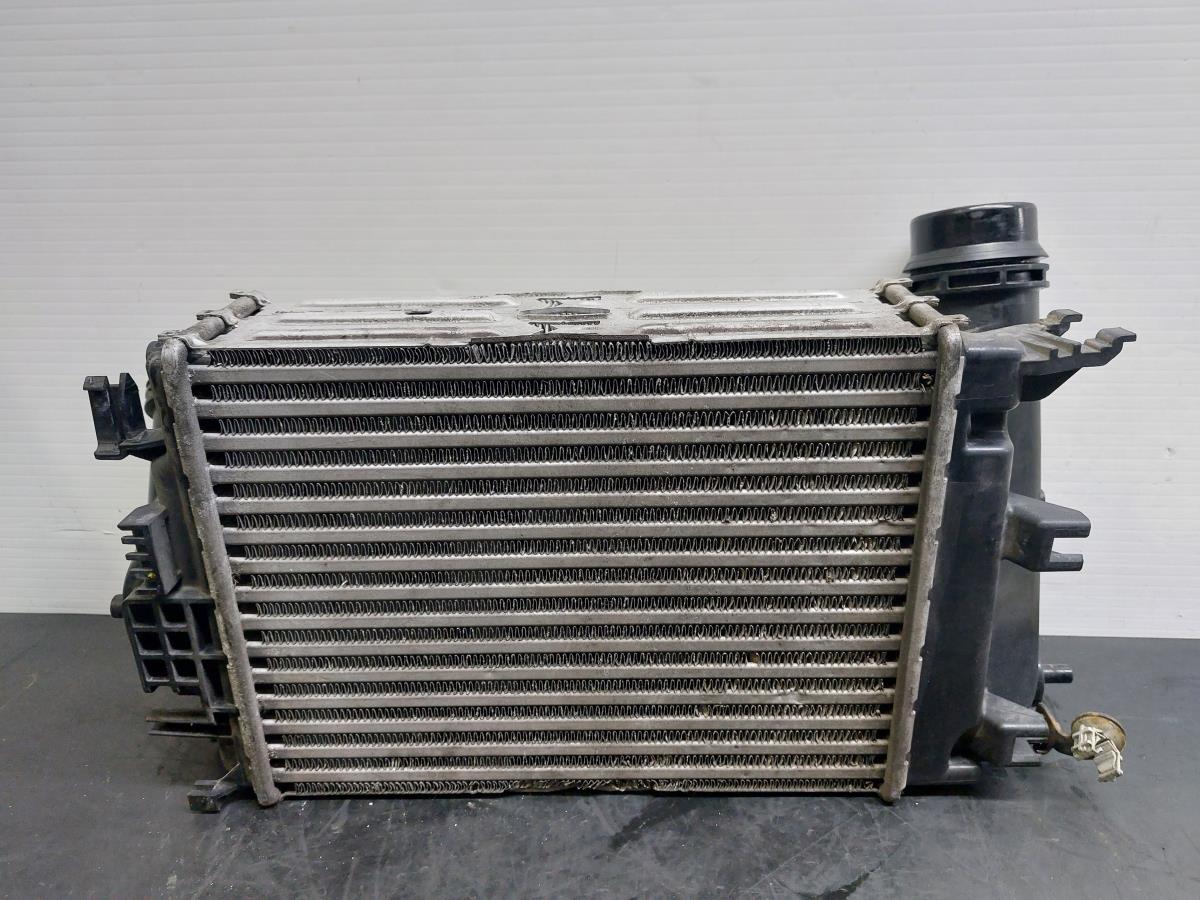 Radiador do intercooler RENAULT Talisman (L2M_) Imagem-3