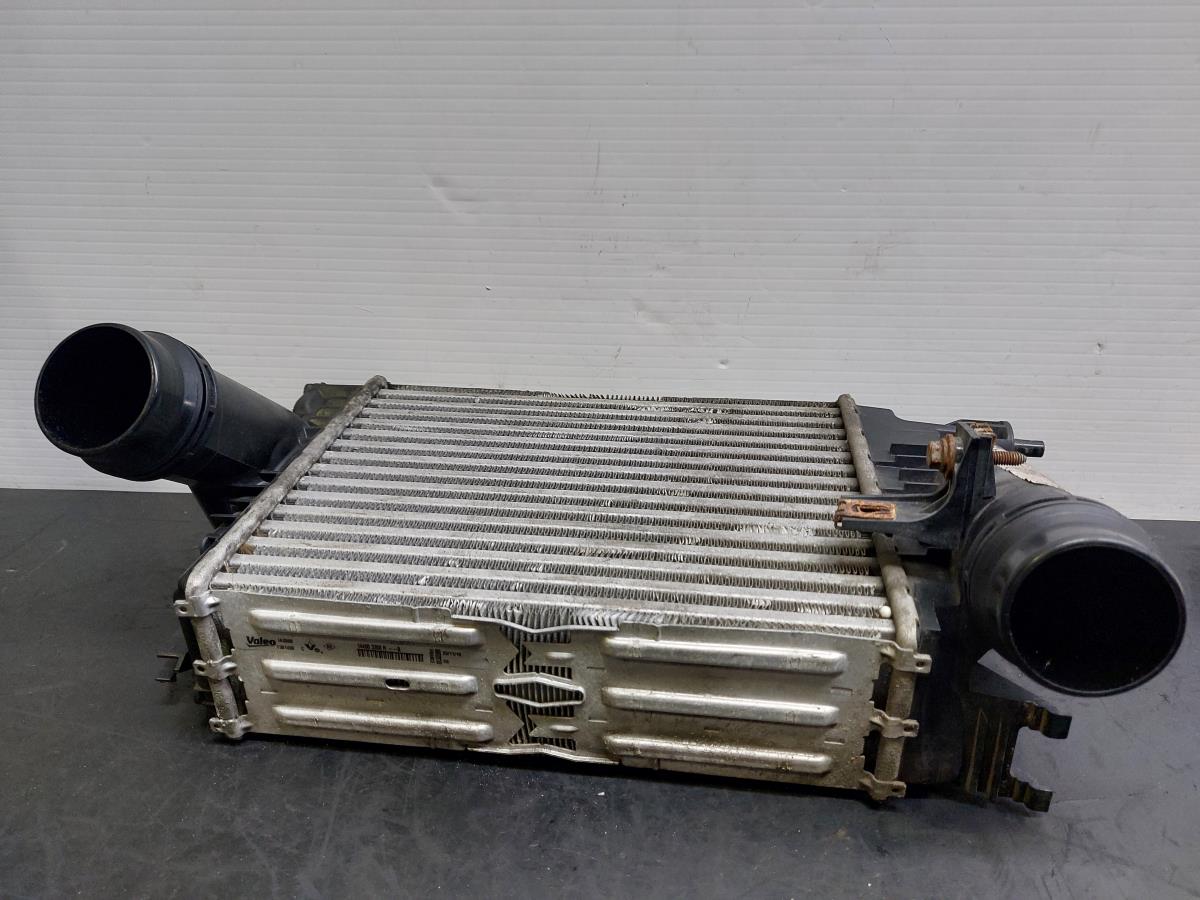 Radiador do intercooler RENAULT Talisman (L2M_) Imagem-4