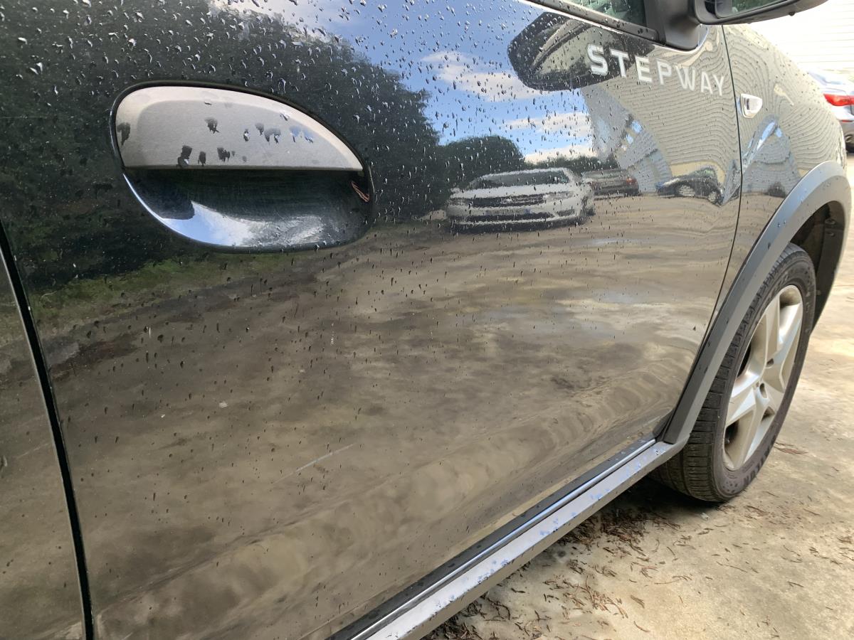 Porta frente direita DACIA Sandero II (5S_) Imagem-2