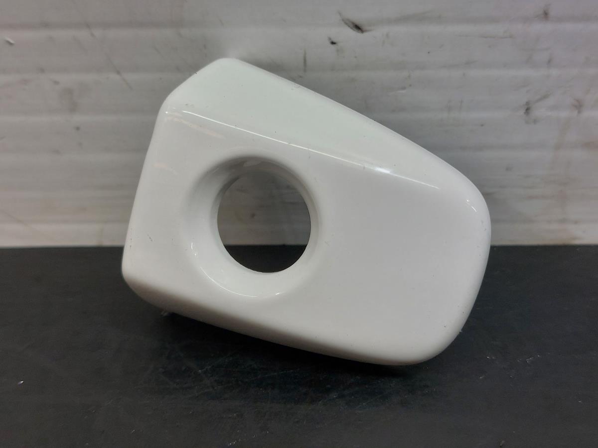 Copertura maniglia porta sinistra TOYOTA Verso (_R2_)