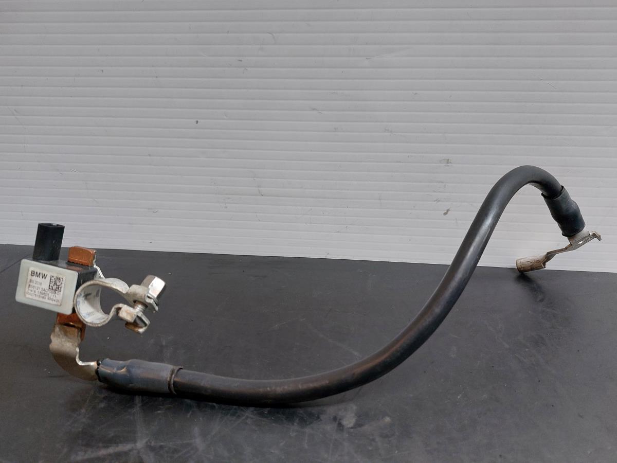 Cavo negativo batteria BMW 1 (F40)