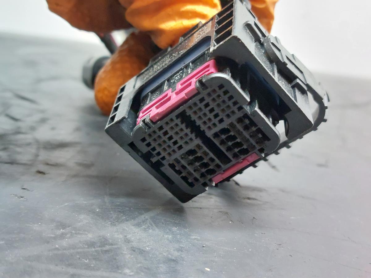 Engine wiring BMW 1 (F40) Imagem-1