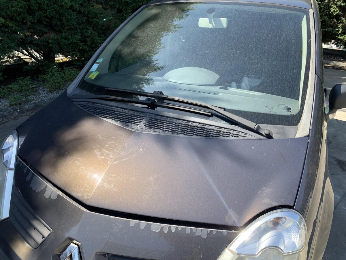 Capot RENAULT Modus/Grand Modus (F/JP0_) Imagem-2