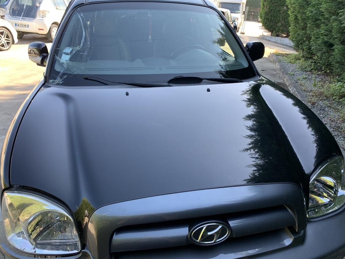 Capot HYUNDAI Santa Fé I (SM) | 2000 - 2006