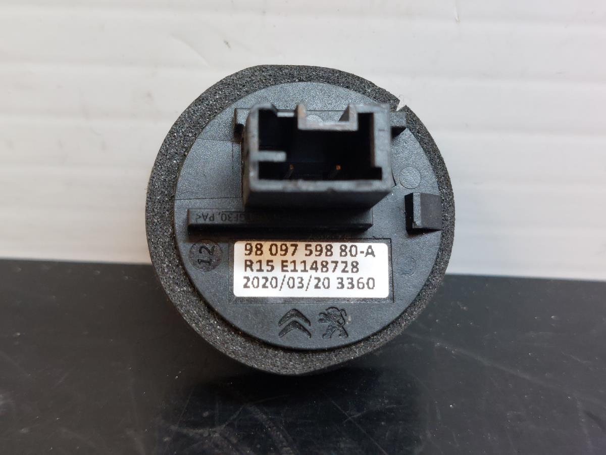 Antena DS DS3 Crossback Imagem-1