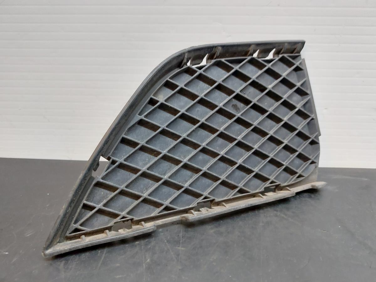 Griglia anteriore BMW X3 (E83)