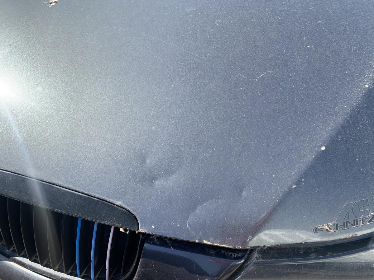 Hood BMW 3 (E90) Imagem-1