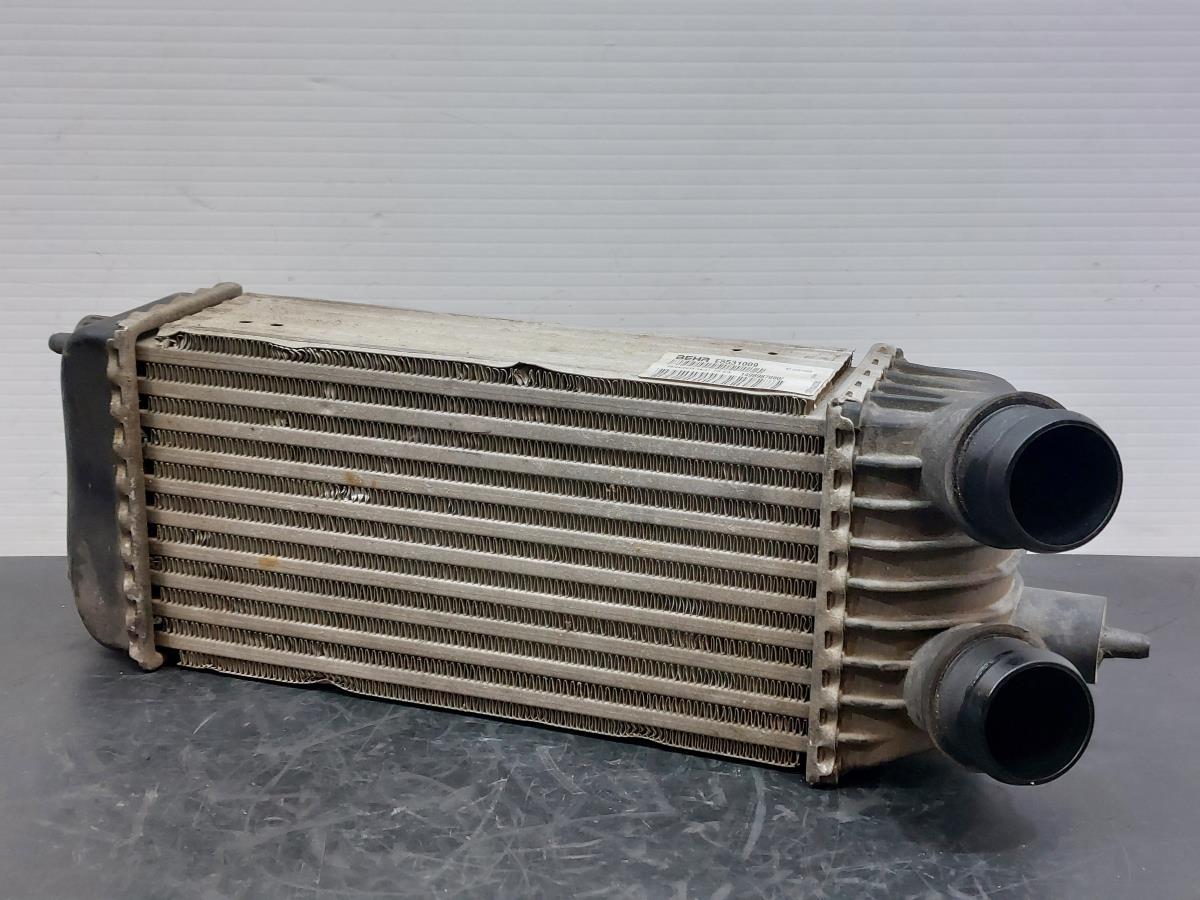 Radiador do intercooler FIAT Scudo (270_, 272_)