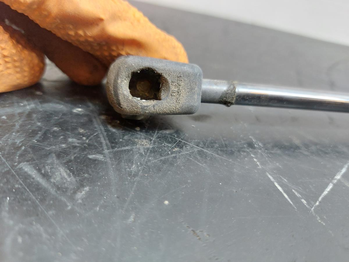 Ammortizzatore Bagagliaio AUDI A3 Sportback (8VA, 8VF) Imagem-1