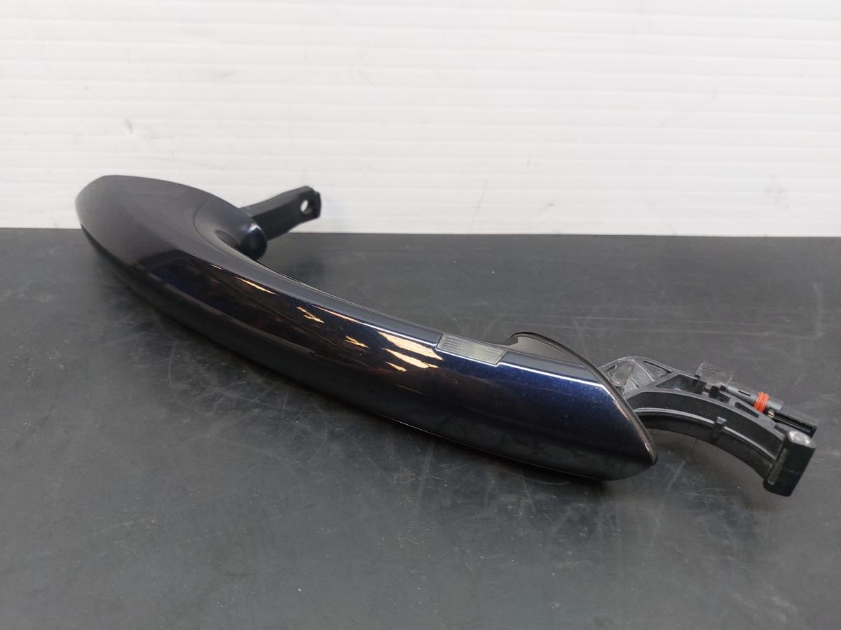 Maniglia porta posteriore sinistra BMW 7 (G11, G12) Imagem-1