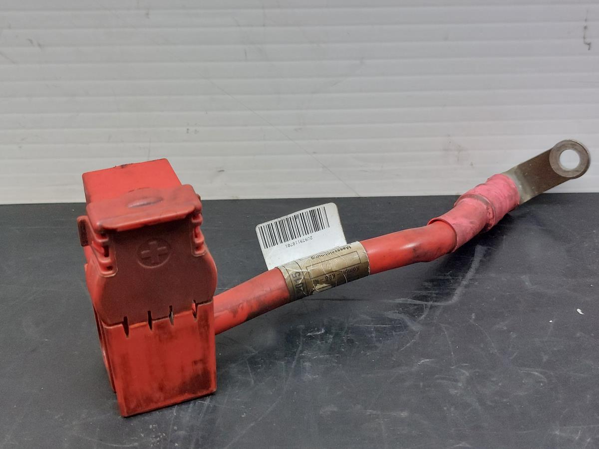 Cavo positivo batteria BMW 7 (G11, G12)