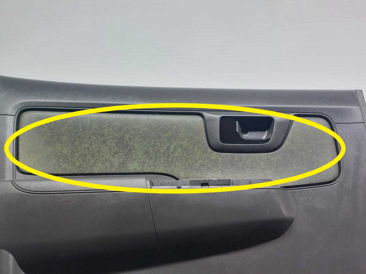 Panel puerta trasero izquierdo TOYOTA Hilux VII Pick Up (_N1_, _N2_, _N3_) Imagem-1