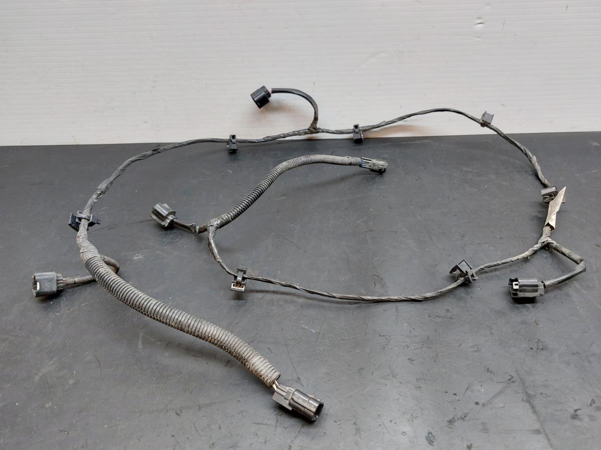 Impianto elettrico interno / cablaggio interno NISSAN Qashqai II (J11)