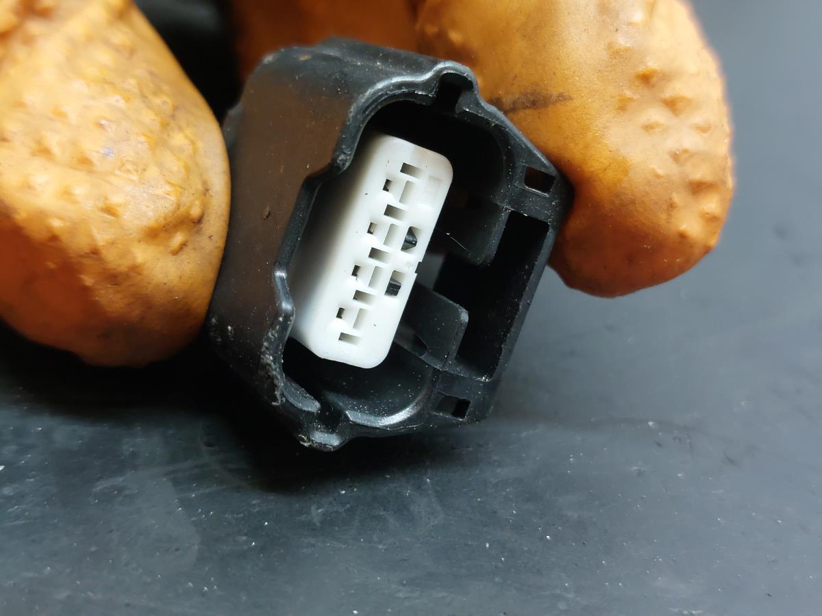 Impianto elettrico interno / cablaggio interno NISSAN Qashqai II (J11) Imagem-5