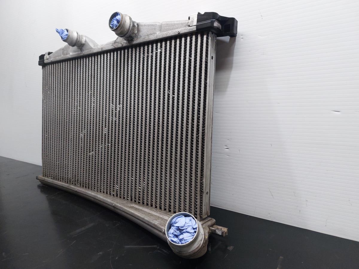 Radiador do intercooler CITROËN C5 III (RD_) Imagem-1