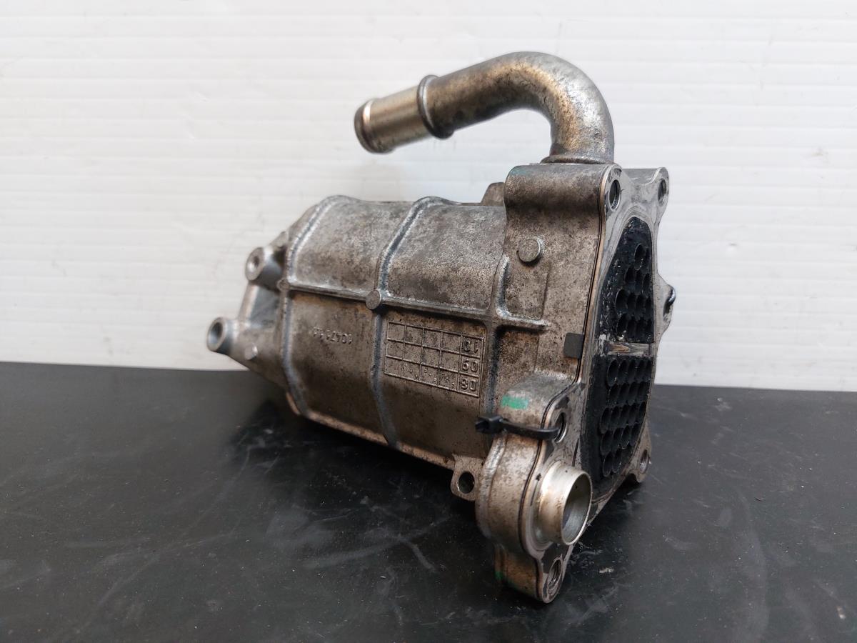 Radiador de gases / EGR CITROËN C5 III (RD_) Imagem-1