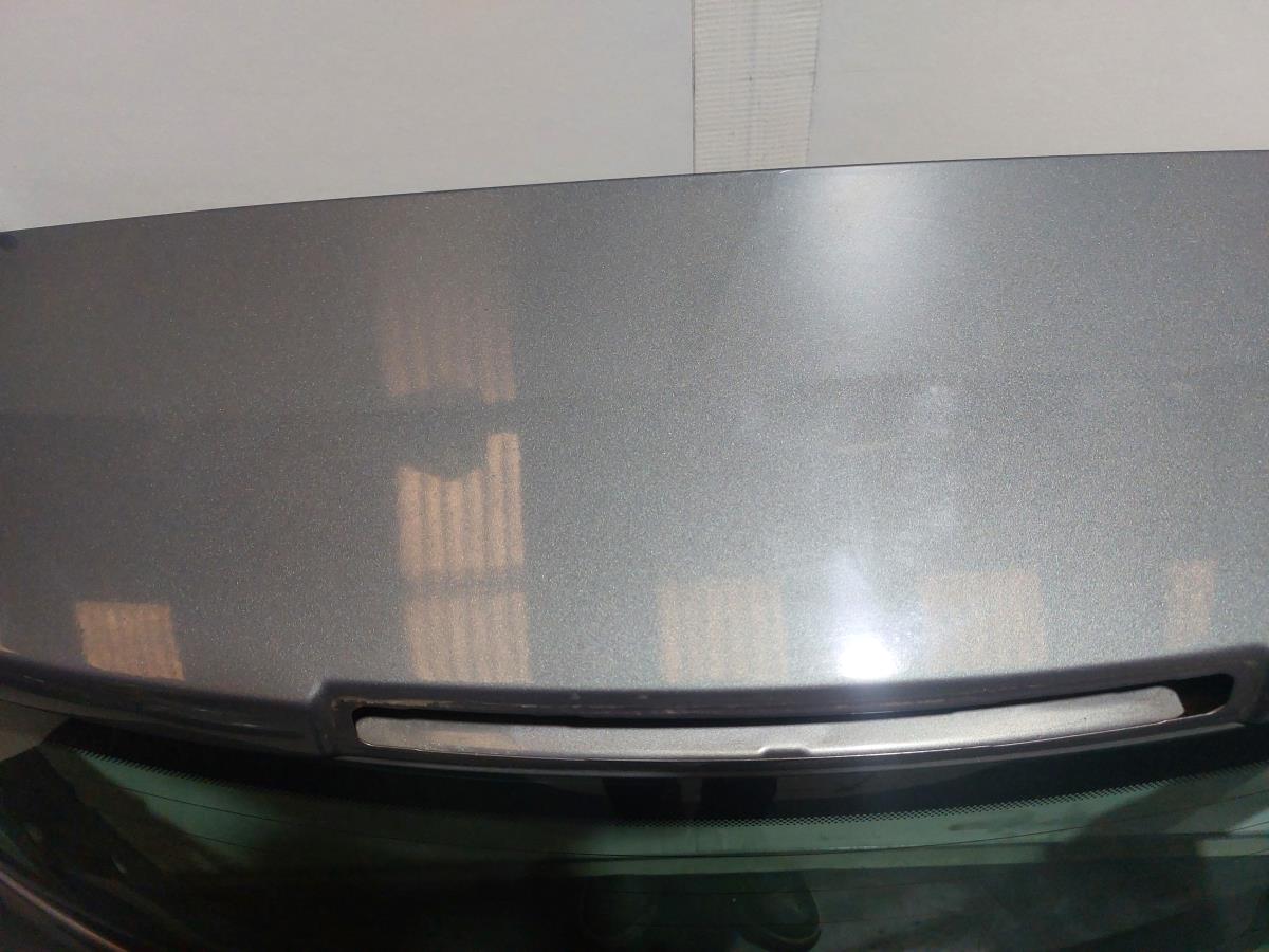 Porta / tampa da mala RENAULT Megane II (BM0/1_, CM0/1_) Imagem-2