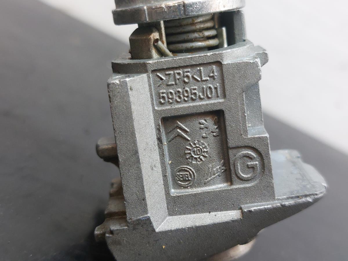 Canhão de porta PEUGEOT 308 (4A_, 4C_) Imagem-4