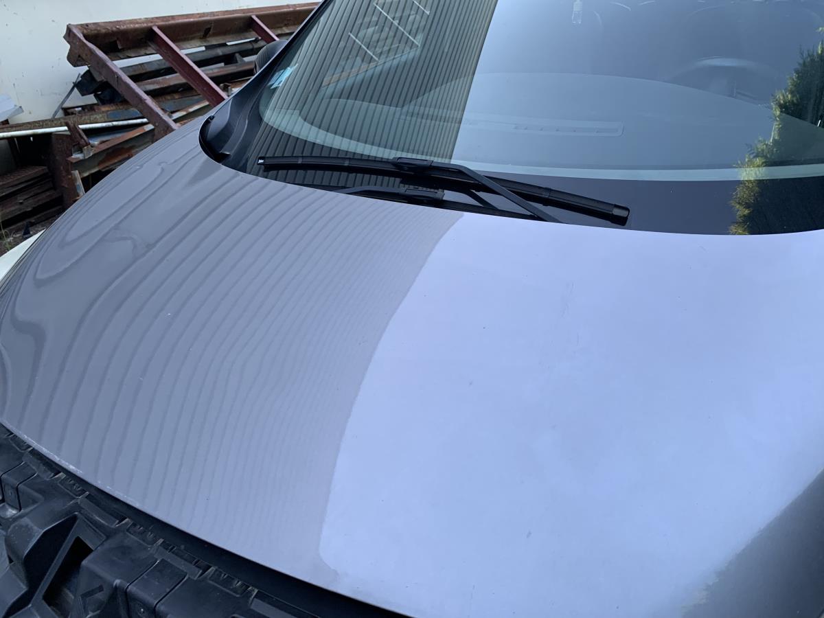 Capot RENAULT Grand Scénic III (JZ0/1_) Imagem-1