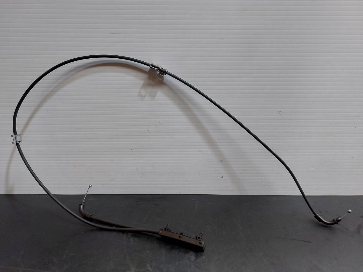 Tirantes / bialetas / pendurais BMW 1 (F40)