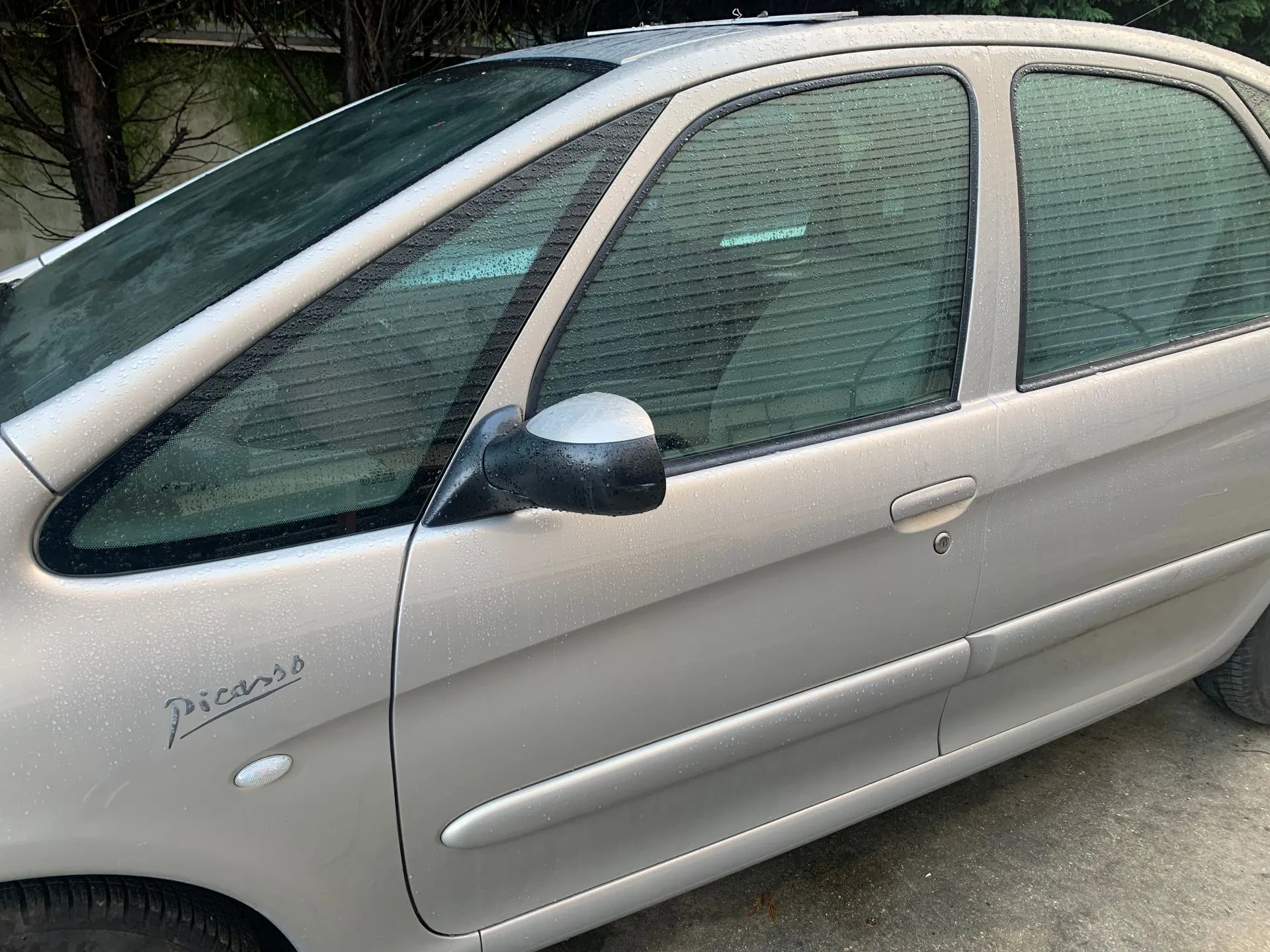 Porta frente esquerda CITROËN Xsara Picasso (N68) Imagem-1