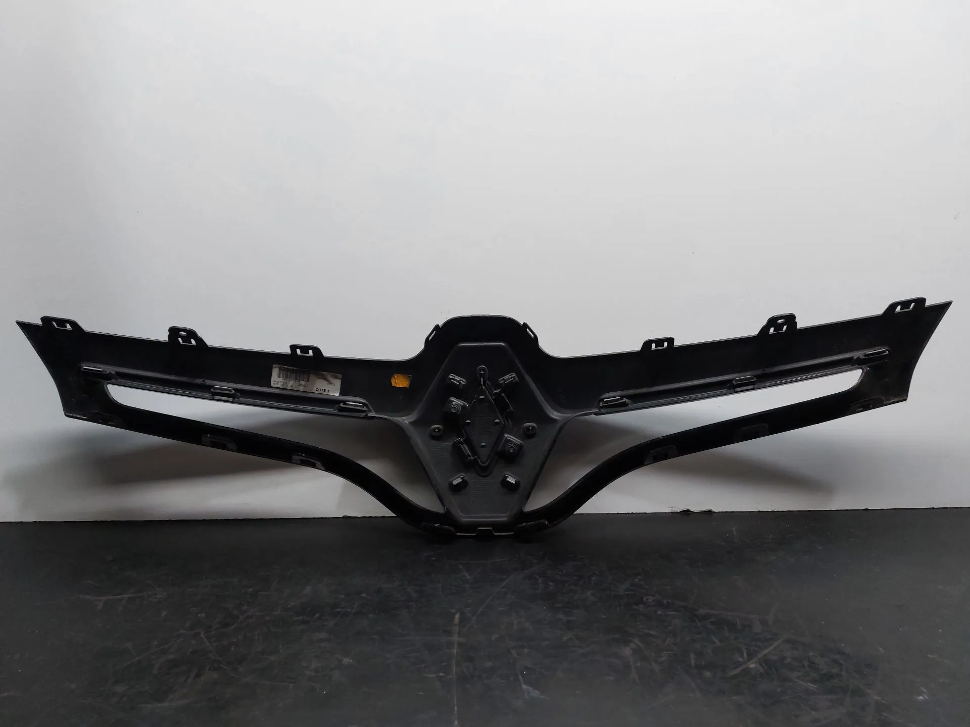 Rejilla delantera RENAULT Scénic III (JZ0/1_) Imagem-6