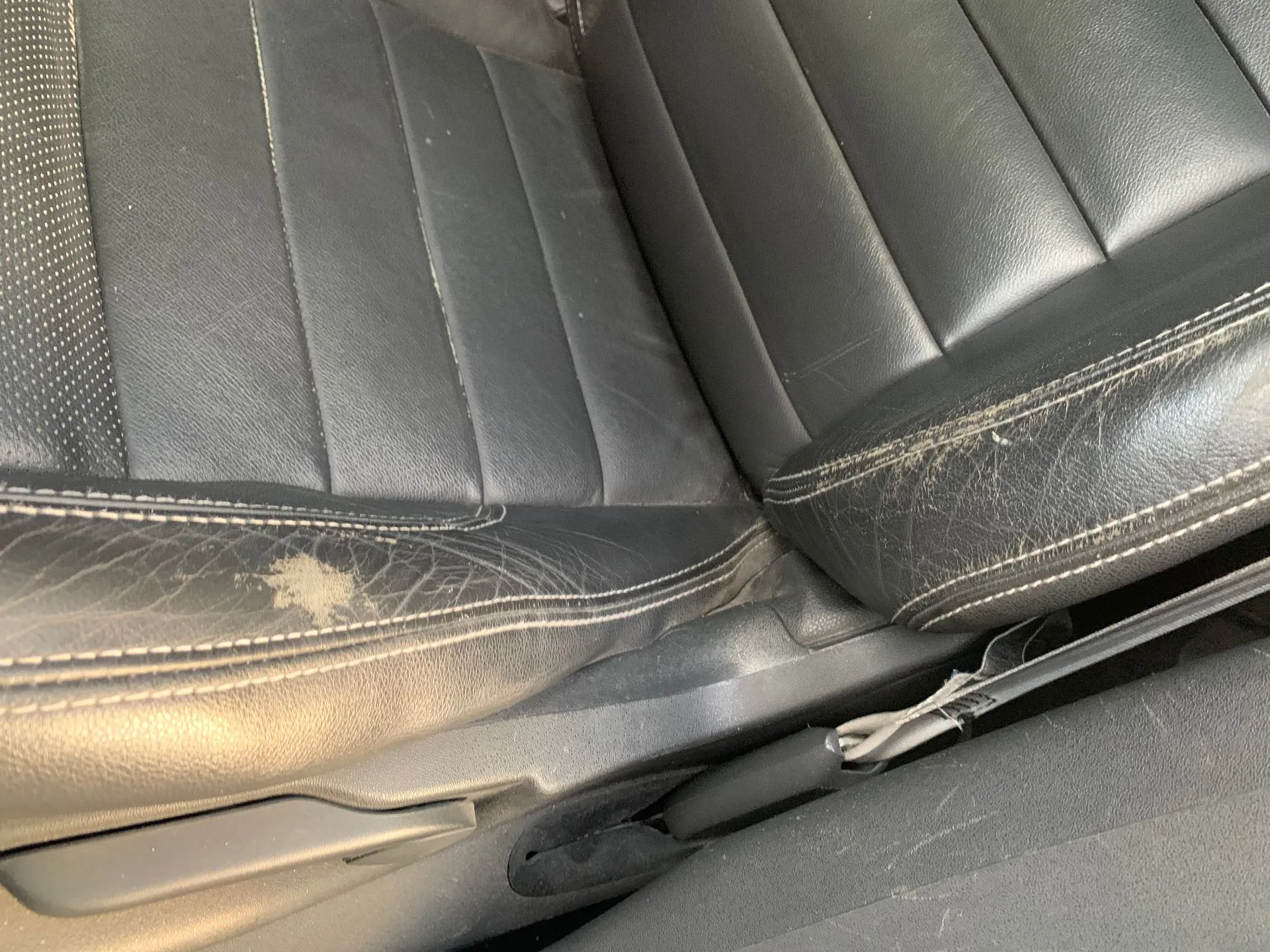 Conjunto de bancos RENAULT Megane II (BM0/1_, CM0/1_) Imagem-3