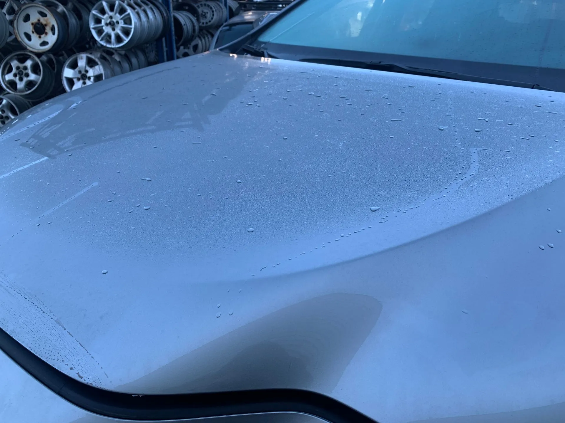 Capot LEXUS NX II (_A2_, _H2_) Imagem-1
