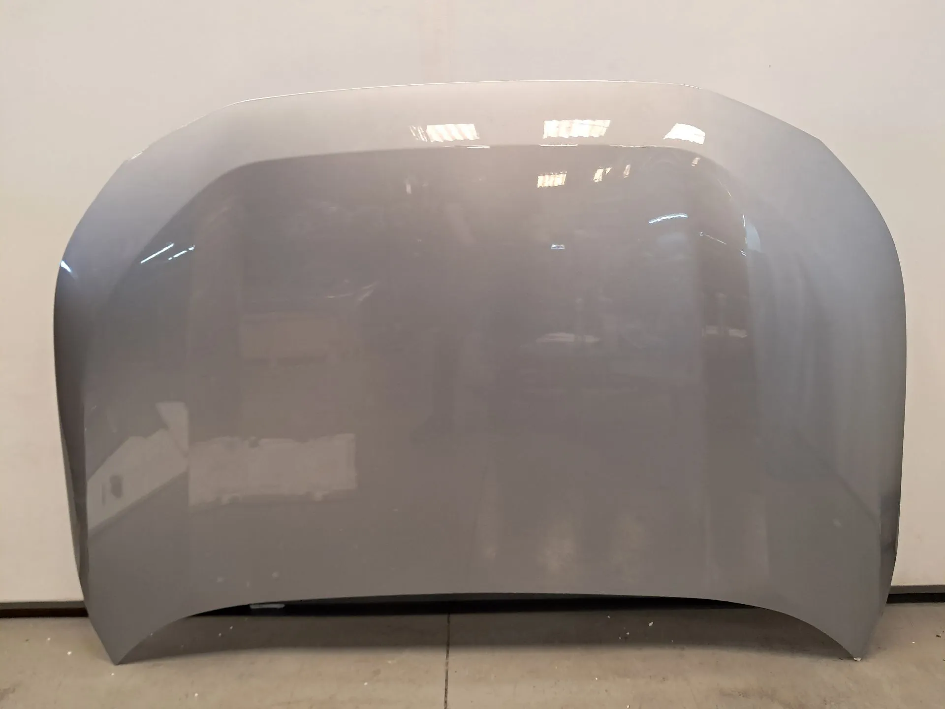 Capot TOYOTA RAV4 V (_A5_, _H5_)